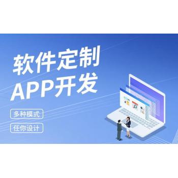 宜春软件开发公司,小程序app制作网站建设开发